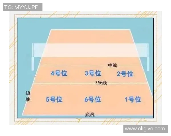 武汉排球队的排球战术解析与节奏体系的深度剖析