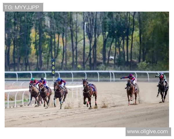 武汉羽毛球队的速度之谜:揭开羽毛球巨献的秘密与魅力 武汉羽毛球队的速度之谜:揭开羽毛球巨献的秘密与魅力