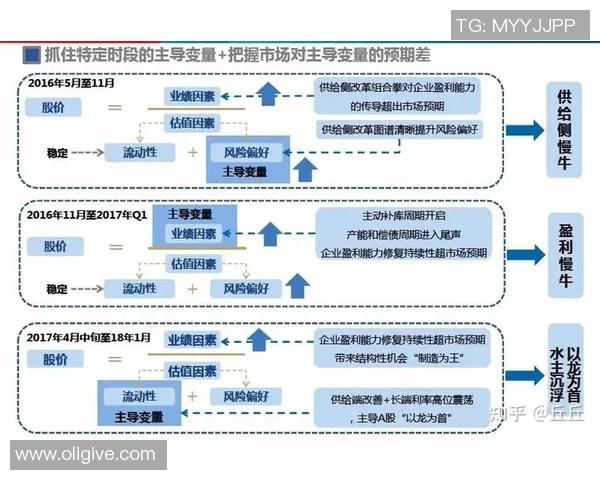 深入分析成都排球队的运营策略与市场推广模式